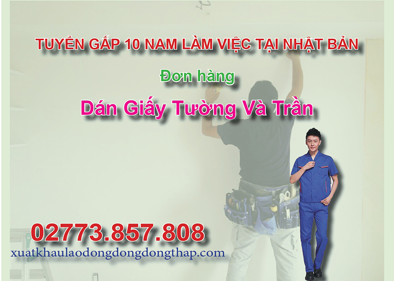 Tuyển gấp 10 nam làm việc tại Nhật Bản đơn hàng dán giấy tường và trần