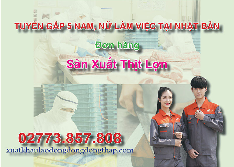 Tuyển gấp 5 nam, nữ làm việc tại Nhật Bản đơn hàng sản xuất thịt lợn