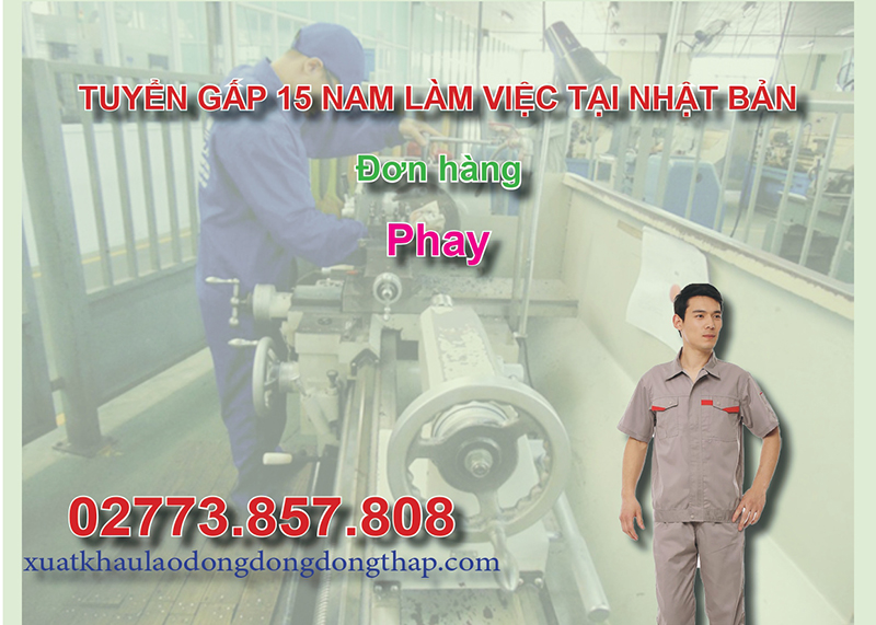 Tuyển gấp 15 nam làm việc tại Nhật Bản đơn hàng phay