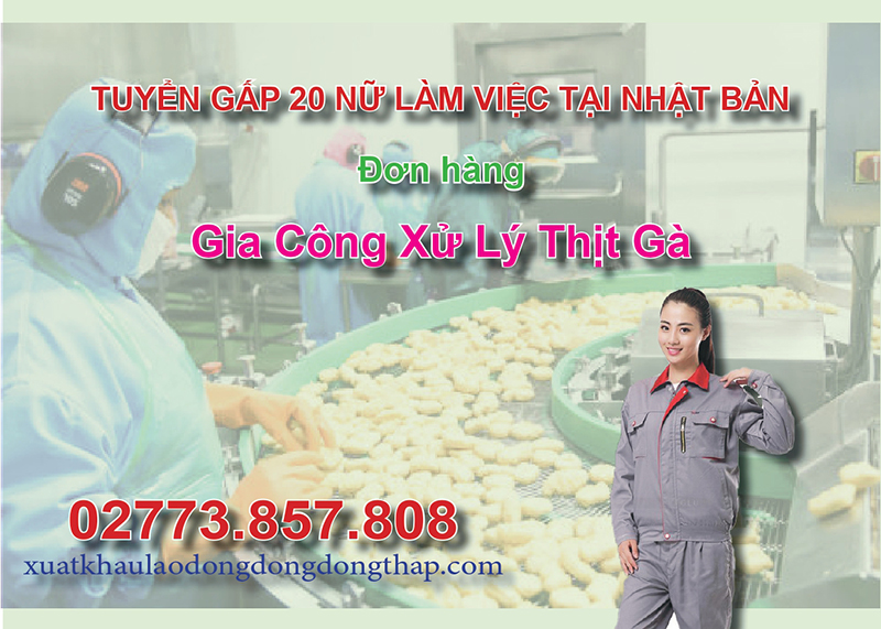 Tuyển gấp 20 nữ làm việc tại Nhật Bản đơn hàng gia công xử lý thịt gà