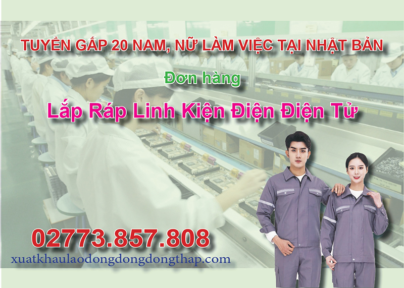 Tuyển gấp 20 nam, nữ làm việc tại Nhật Bản đơn hàng lắp ráp linh kiện điện điện tử