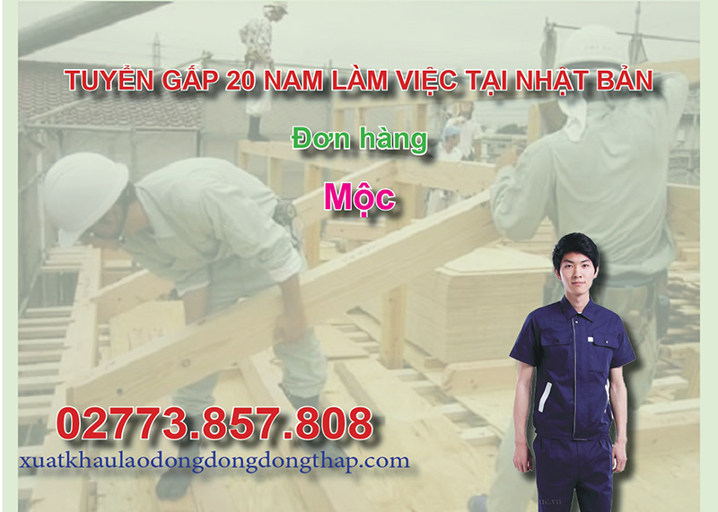 Tuyển gấp 20 nam làm việc tại Nhật Bản đơn hàng mộc