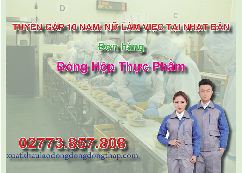 Tuyển gấp 10 nam, nữ làm việc tại Nhật Bản đơn hàng đóng hộp thực phẩm