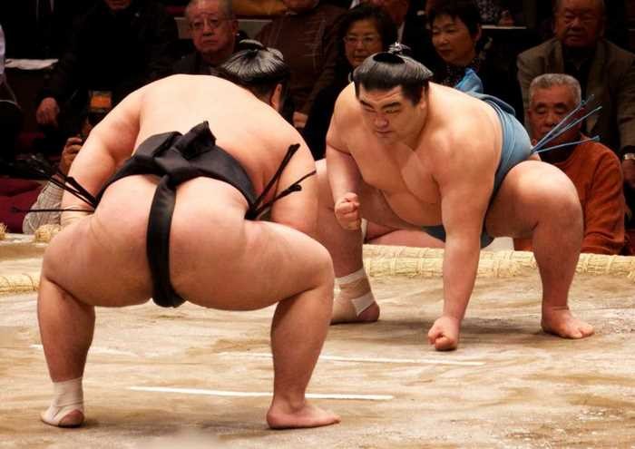 Đấu vật Sumo