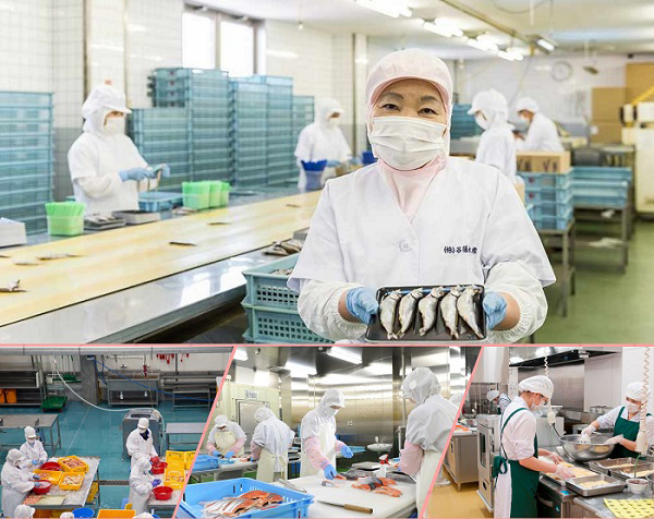 Tuyển gấp 5 nữ làm việc tại Nhật Bản đơn hàng Thuỷ sản đóng hộp