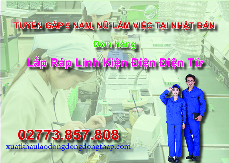 Tuyển gấp 5 nam, nữ làm việc tại Nhật Bản đơn hàng lắp ráp linh kiện điện điện tử