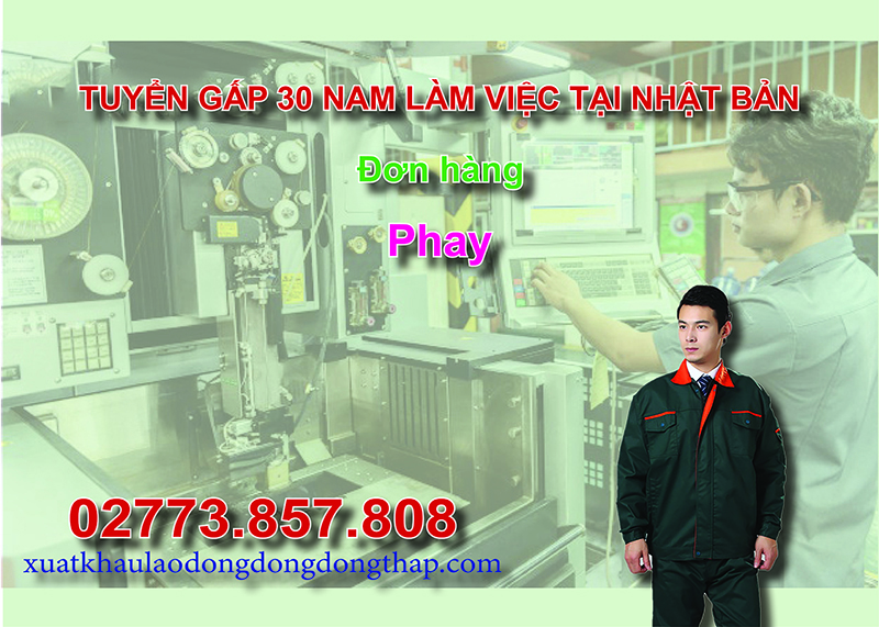 Tuyển gấp 30 nam làm việc tại Nhật Bản đơn hàng phay