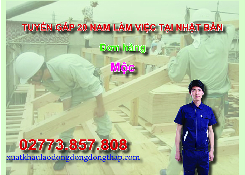 Tuyển gấp 20 nam làm việc tại Nhật Bản đơn hàng mộc