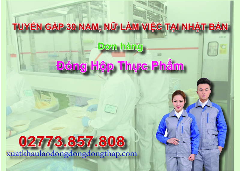 Tuyển gấp 30 nam, nữ làm việc tại Nhật Bản đơn hàng đóng hộp thực phẩm