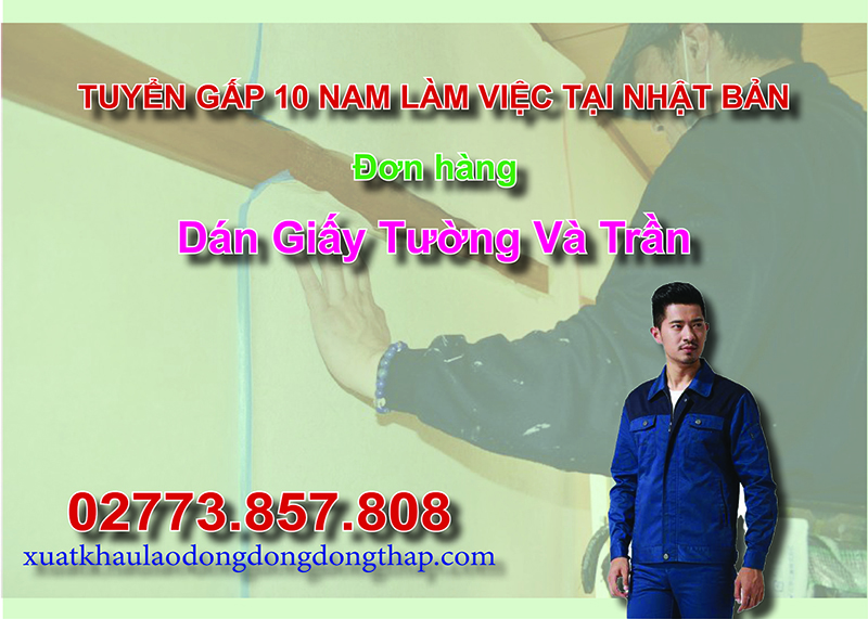 Tuyển gấp 10 nam làm việc tại Nhật Bản đơn hàng dán giấy tường và trần