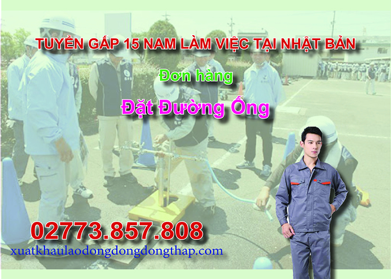 Tuyển gấp 15 nam làm việc tại Nhật Bản đơn hàng đặt đường ống
