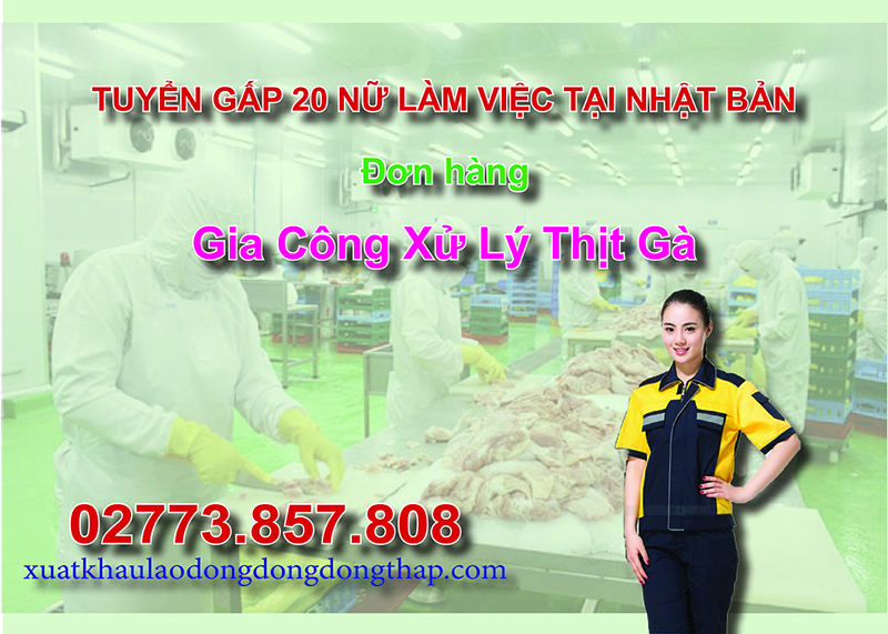 Tuyển gấp 20 nữ làm việc tại Nhật Bản đơn hàng gia công xử lý thịt gà