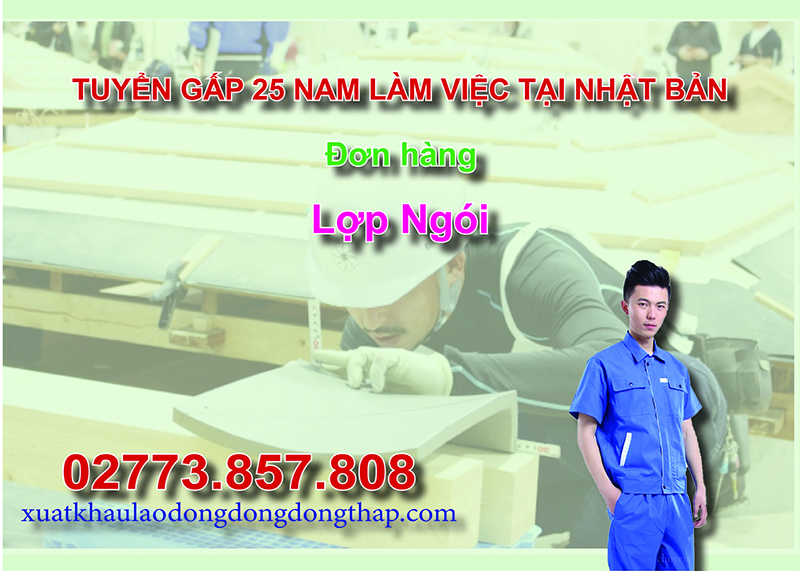 Tuyển gấp 25 nam làm việc tại Nhật Bản đơn hàng lợp ngói