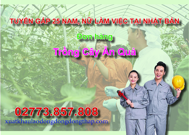 Tuyển gấp 25 nam, nữ làm việc tại Nhật Bản đơn hàng trồng cây ăn quả
