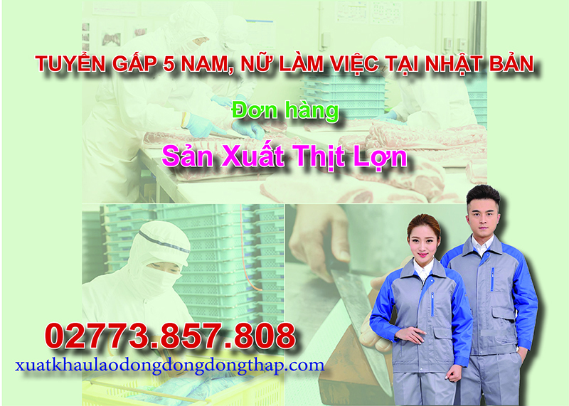 Tuyển gấp 5 nam, nữ làm việc tại Nhật Bản đơn hàng sản xuất thịt lợn