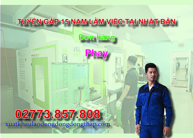 Tuyển gấp 15 nam làm việc tại Nhật Bản đơn hàng phay
