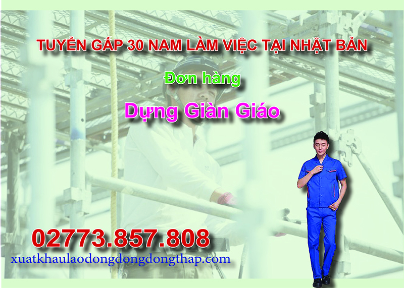 Tuyển gấp 30 nam làm việc tại Nhật Bản đơn hàng dựng giàn giáo