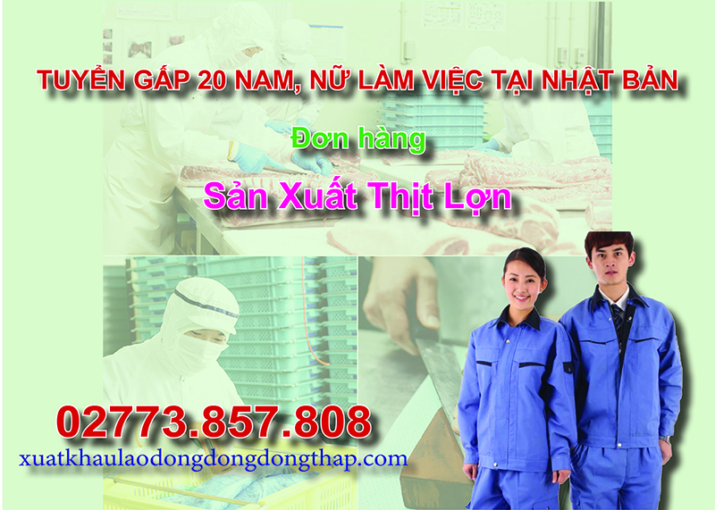 Tuyển gấp 20 nam, nữ làm việc tại Nhật Bản đơn hàng sản xuất thịt lợn