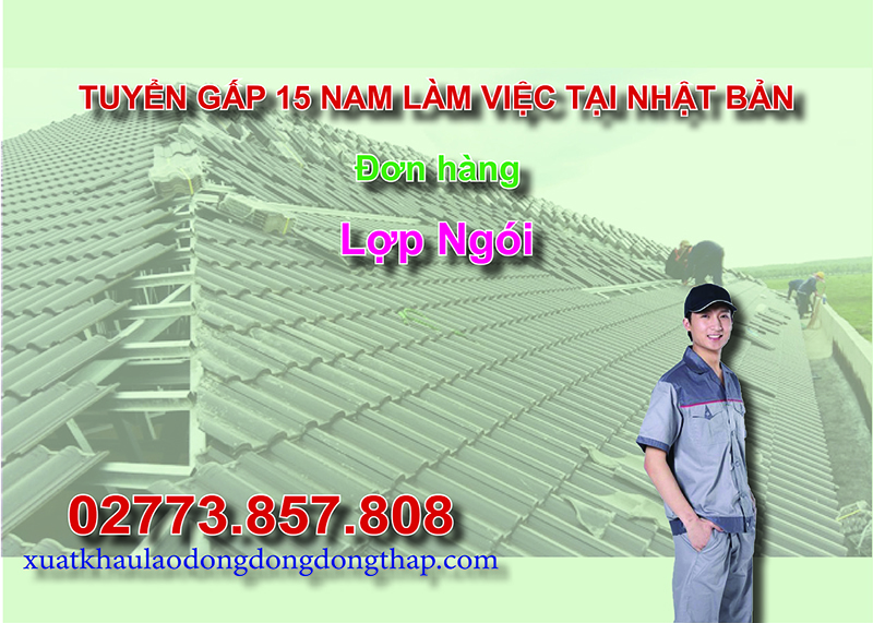 Tuyển gấp 15 nam làm việc tại Nhật Bản đơn hàng lợp ngói