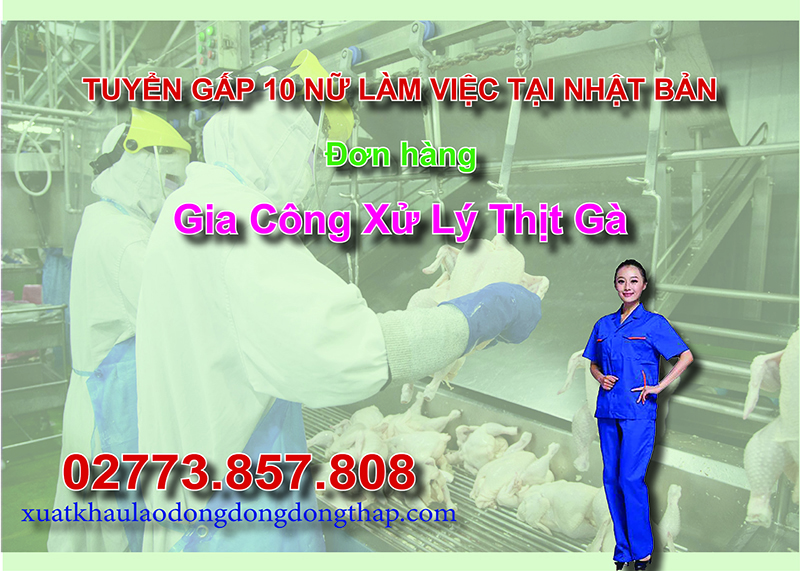 Tuyển gấp 10 nữ làm việc tại Nhật Bản đơn hàng gia công xử lý thịt gà