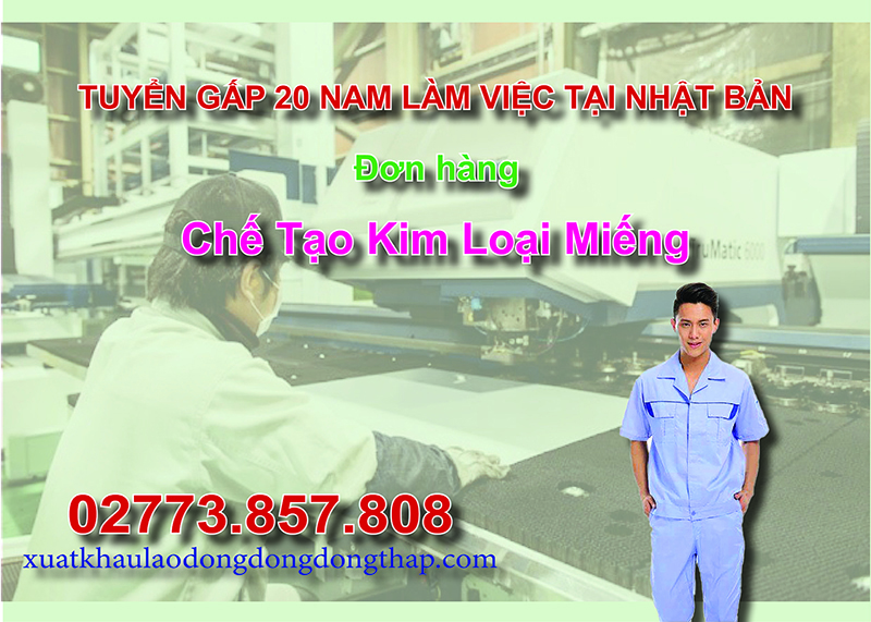 Tuyển gấp 20 nam làm việc tại Nhật Bản đơn hàng chế tạo kim loại miếng