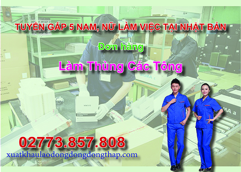 Tuyển gấp 5 nam, nữ làm việc tại Nhật Bản đơn hàng làm thùng các tông