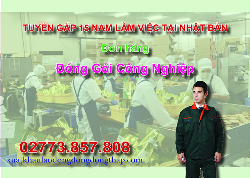 Tuyển gấp 15 nam làm việc tại Nhật Bản đơn hàng đóng gói công nghiệp
