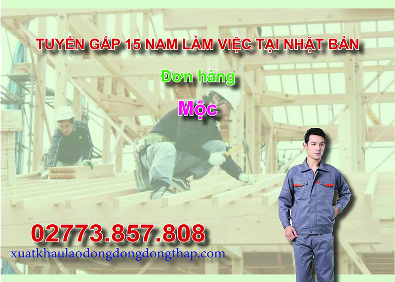 Tuyển gấp 15 nam làm việc tại Nhật Bản đơn hàng mộc
