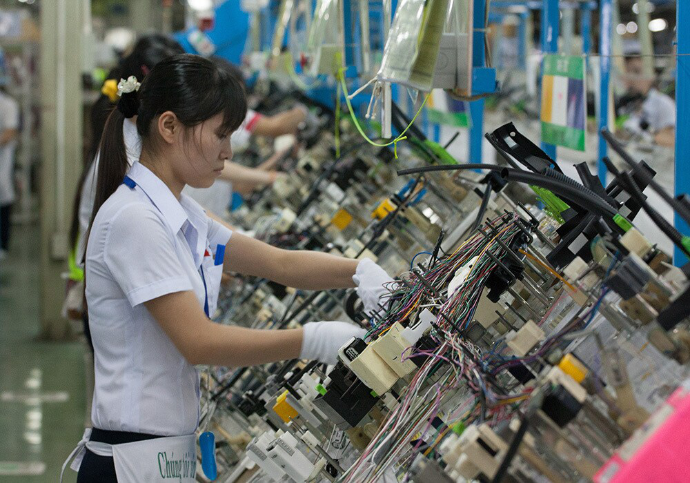 Tuyển gấp 20 nam làm việc tại Nhật Bản đơn hàng Gia công & kiểm tra lắp ráp dây điện ô tô