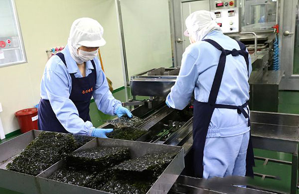 Tuyển gấp 10 nữ làm việc tại Nhật Bản đơn hàng Chế biến thực phẩm rong biển