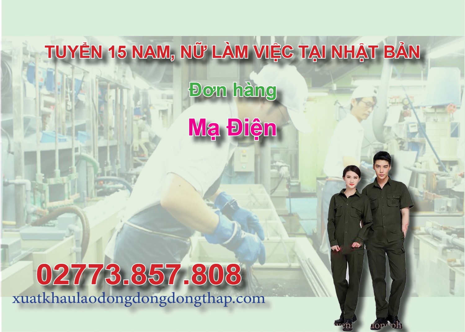 Tuyển 15 nam, nữ làm việc tại Nhật Bản đơn hàng mạ điện