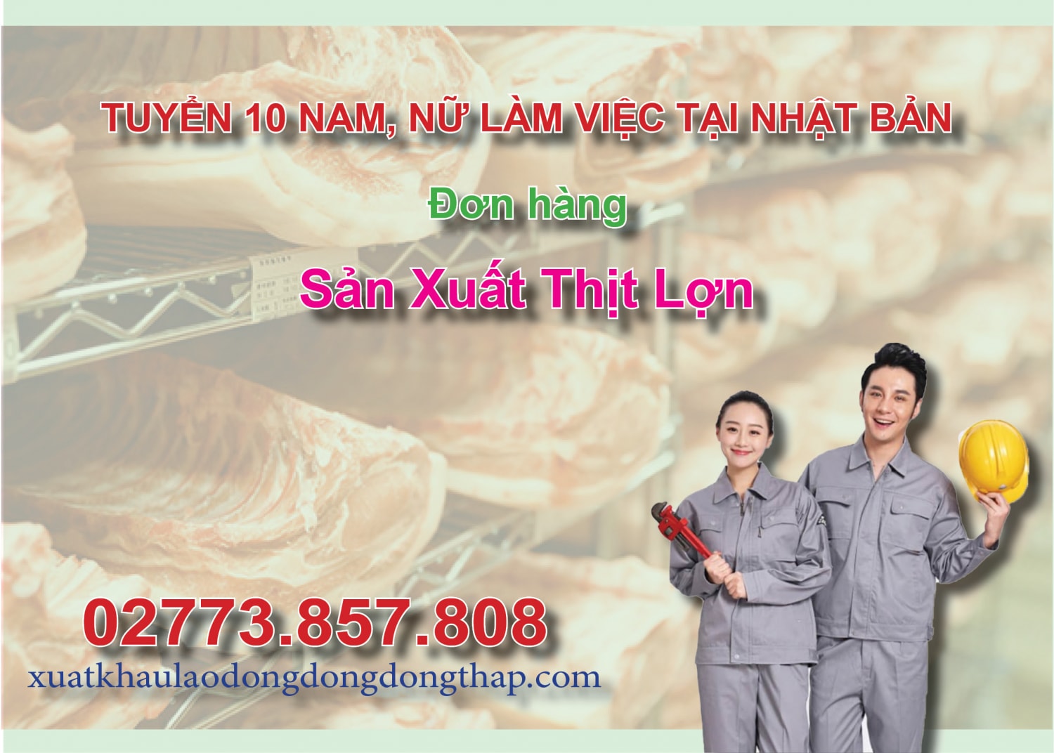 Tuyển 10 nam, nữ làm việc tại Nhật Bản đơn hàng sản xuất thịt lợn