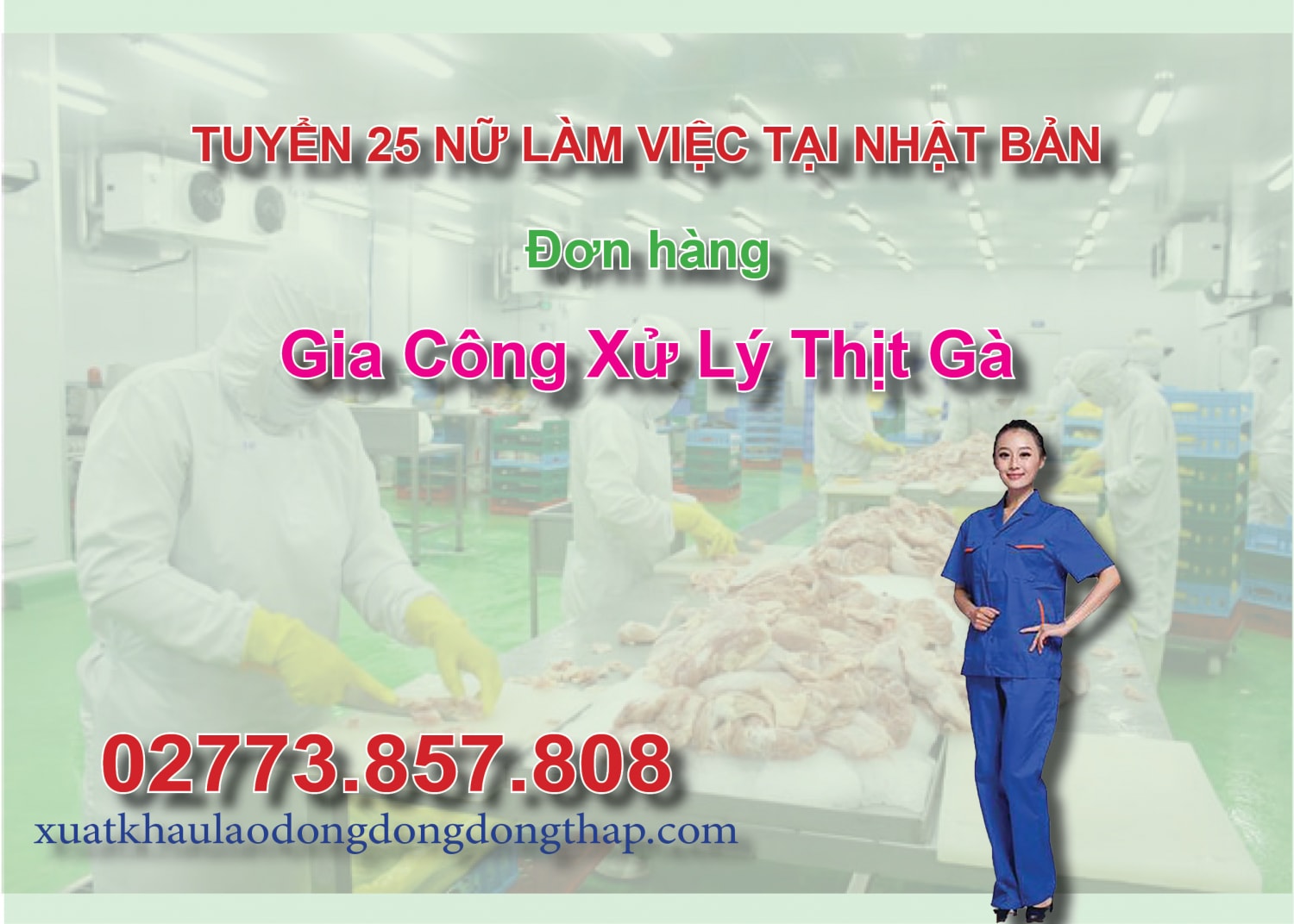 Tuyển 25 nữ làm việc tại Nhật Bản đơn hàng gia công xử lý thịt gà