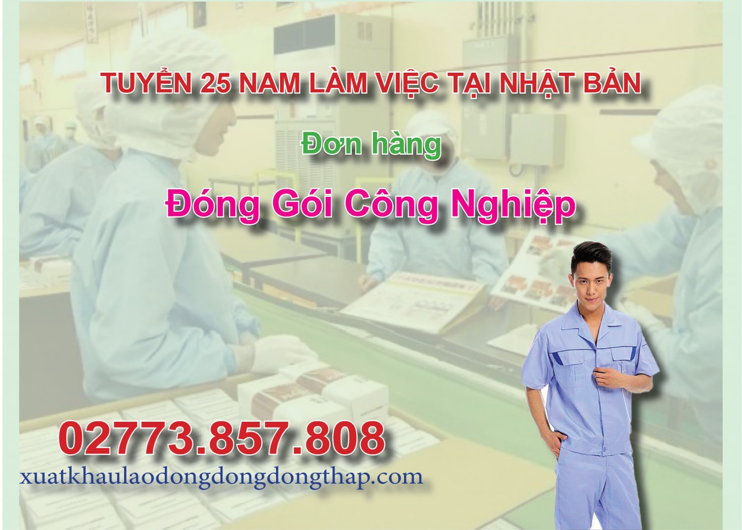 Tuyển 25 nam làm việc tại Nhật Bản đơn hàng đóng gói công nghiệp