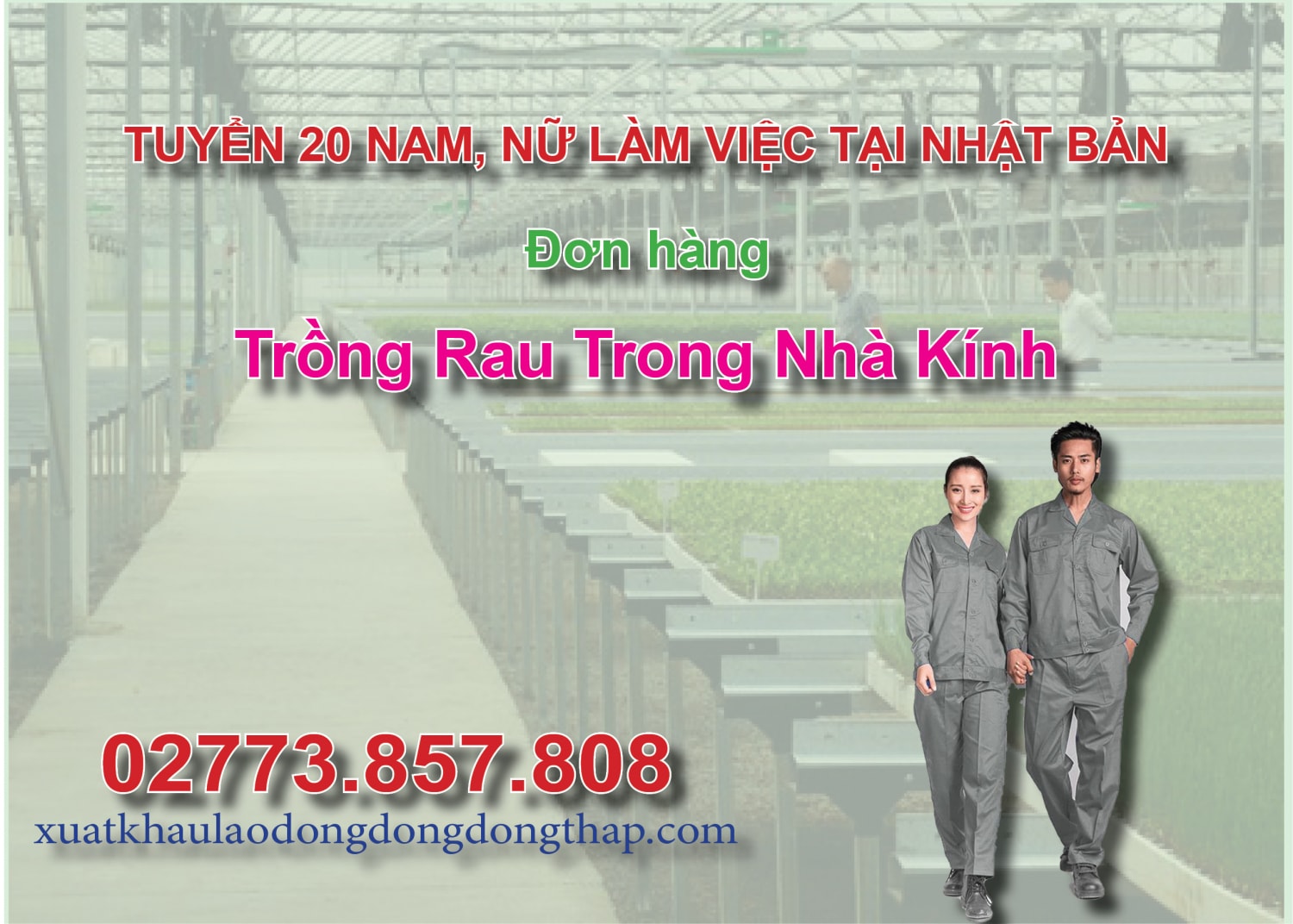 Tuyển 20 nam, nữ làm việc tại Nhật Bản đơn hàng trồng rau trong nhà kính