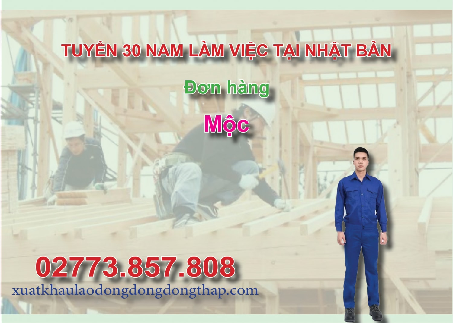 Tuyển 30 nam làm việc tại Nhật Bản đơn hàng mộc