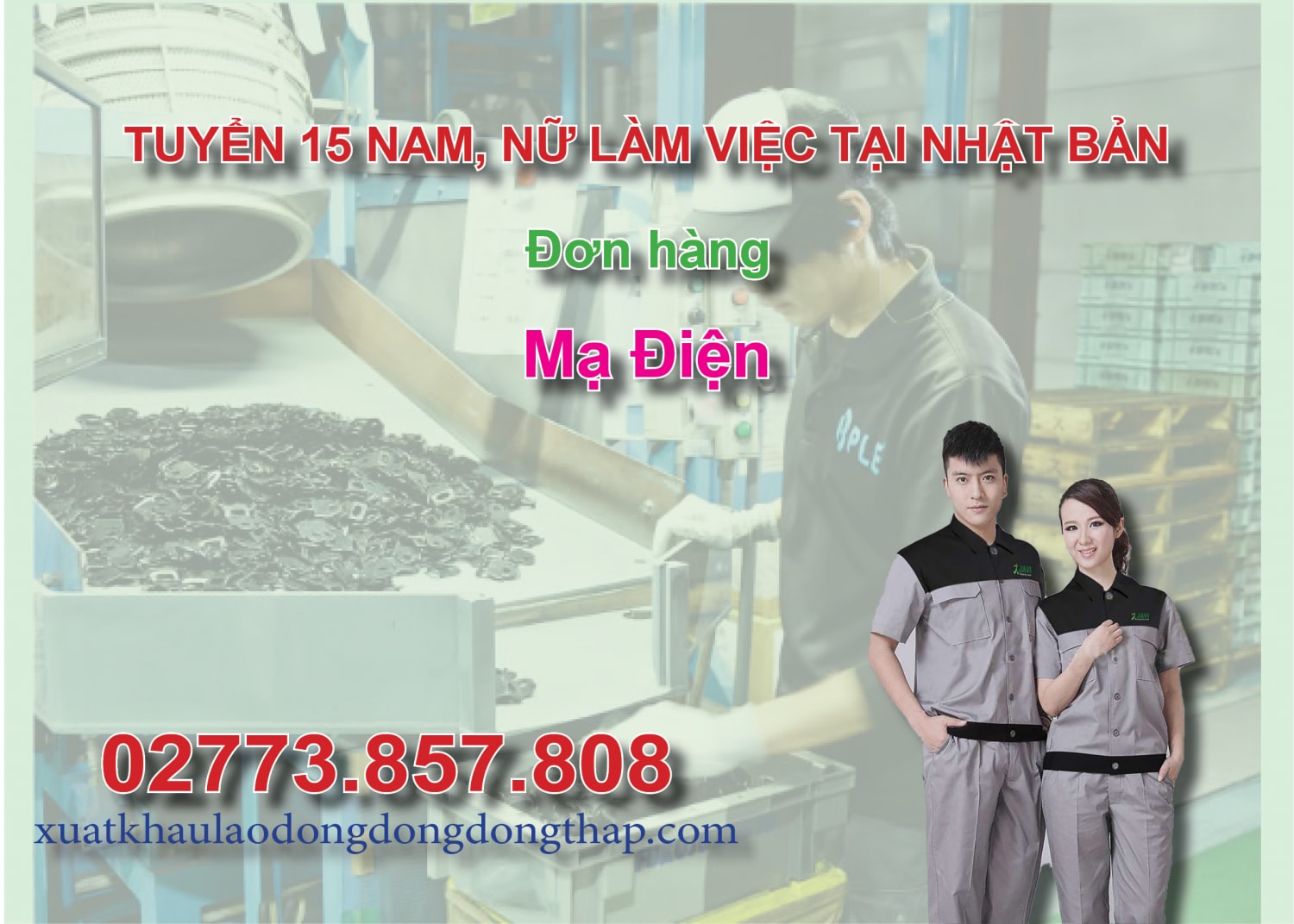 Tuyển 15 nam, nữ làm việc tại Nhật Bản đơn hàng mạ điện