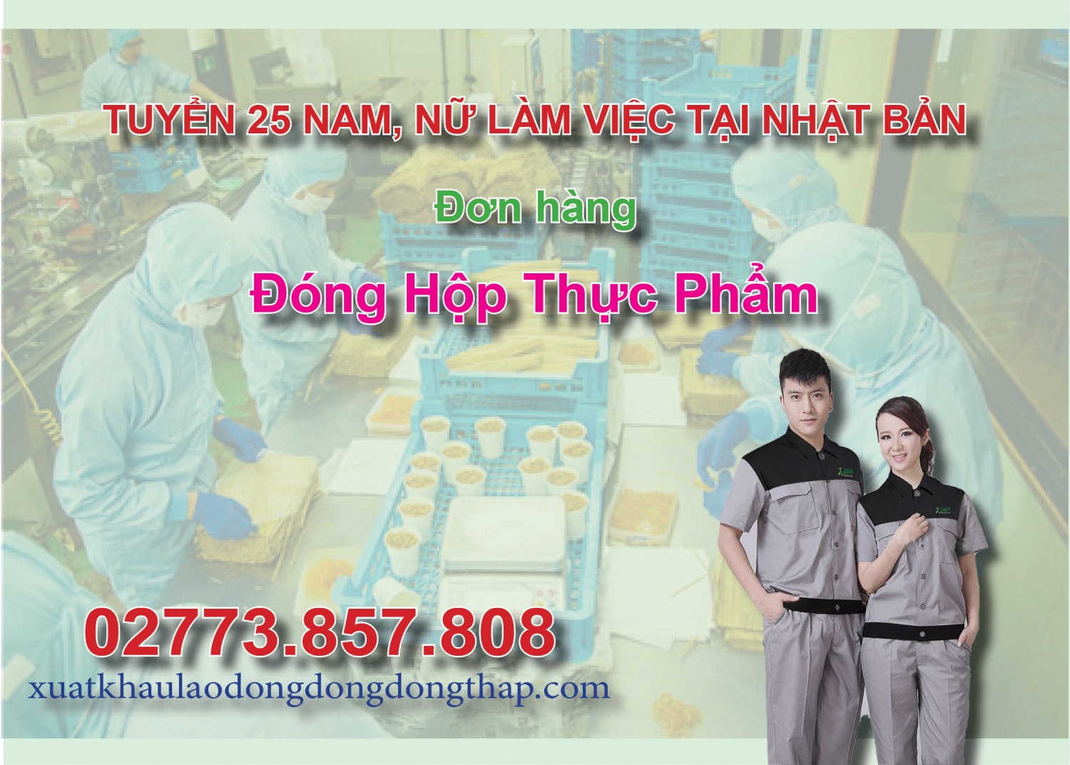 Tuyển 25 nam, nữ làm việc tại Nhật Bản đơn hàng đóng hộp thực phẩm