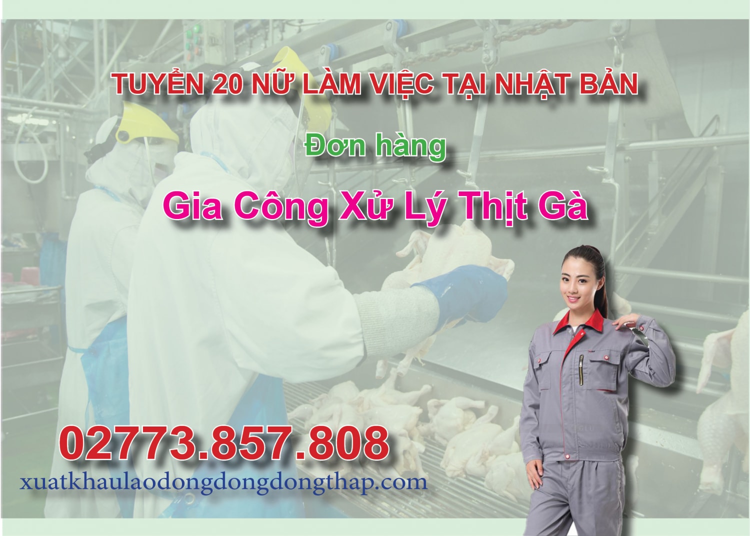 Tuyển 20 nữ làm việc tại Nhật Bản đơn hàng gia công xử lý thịt gà