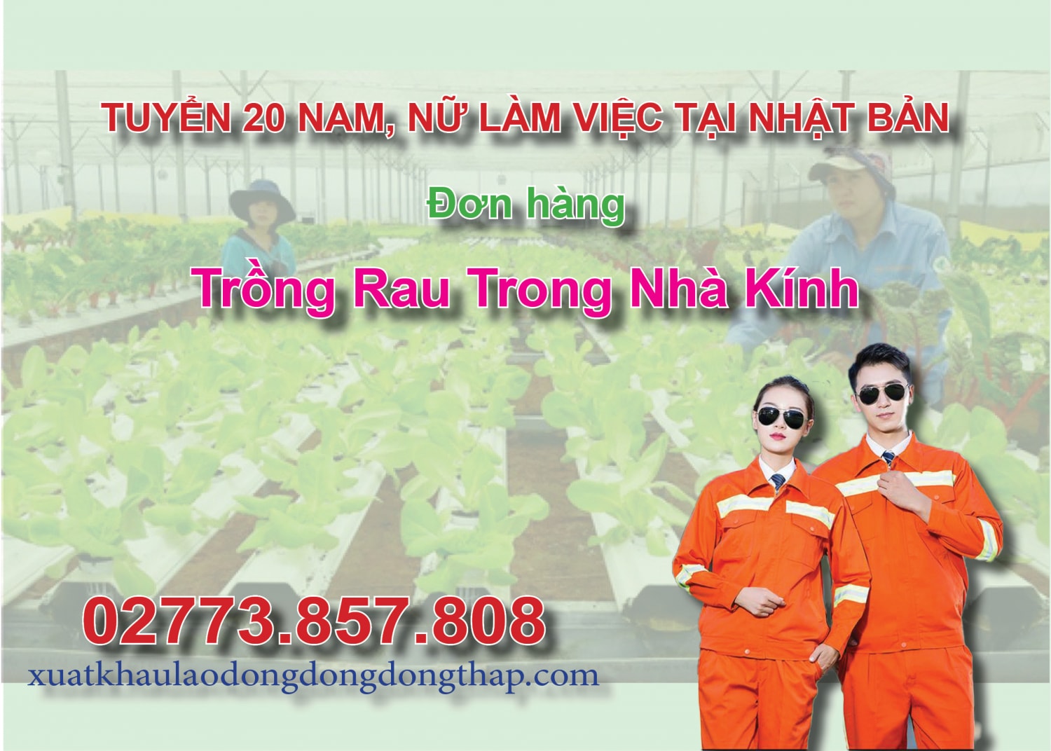 Tuyển 20 nam, nữ làm việc tại Nhật Bản đơn hàng trồng rau trong nhà kính