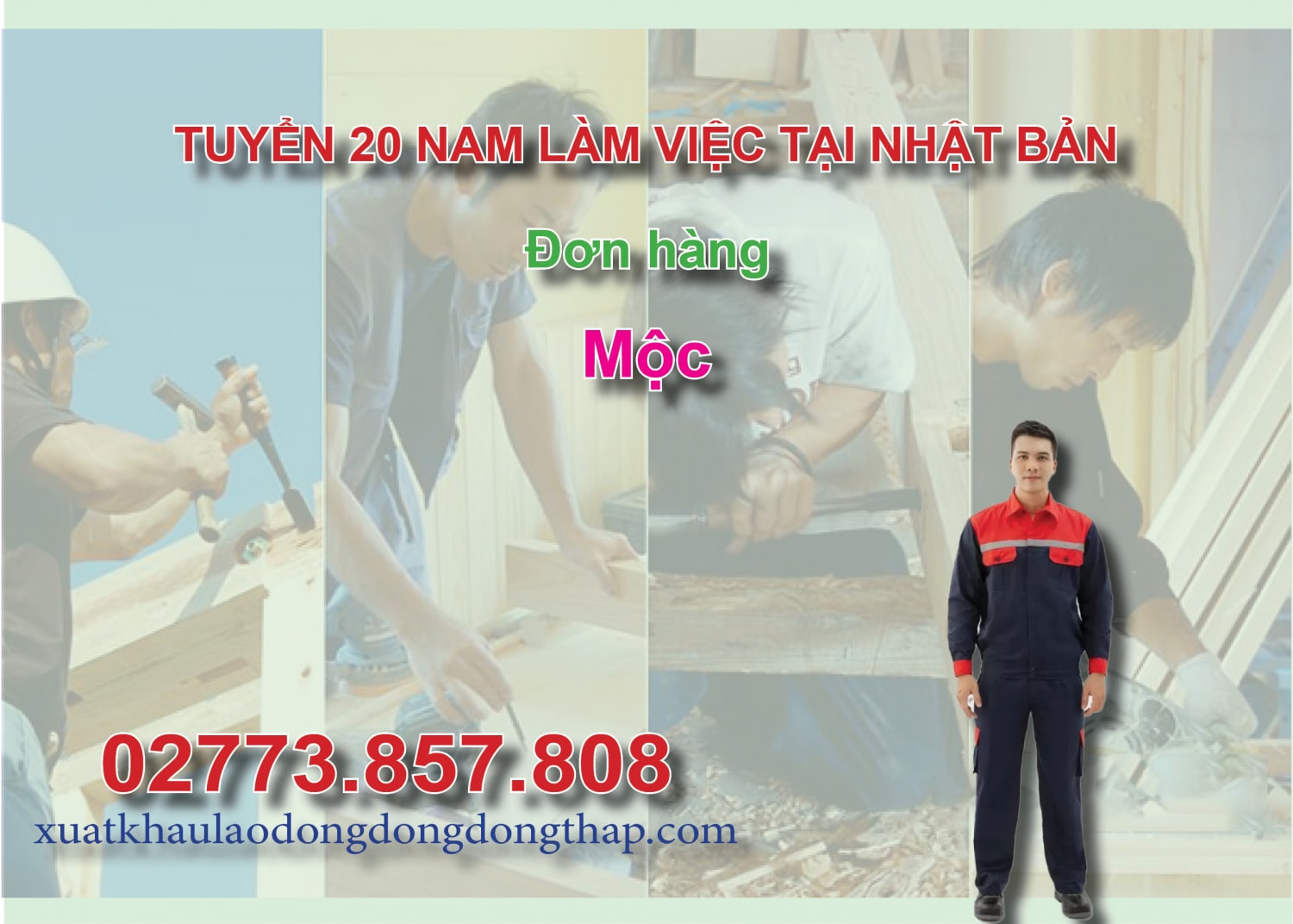 Tuyển 20 nam làm việc tại Nhật Bản đơn hàng mộc