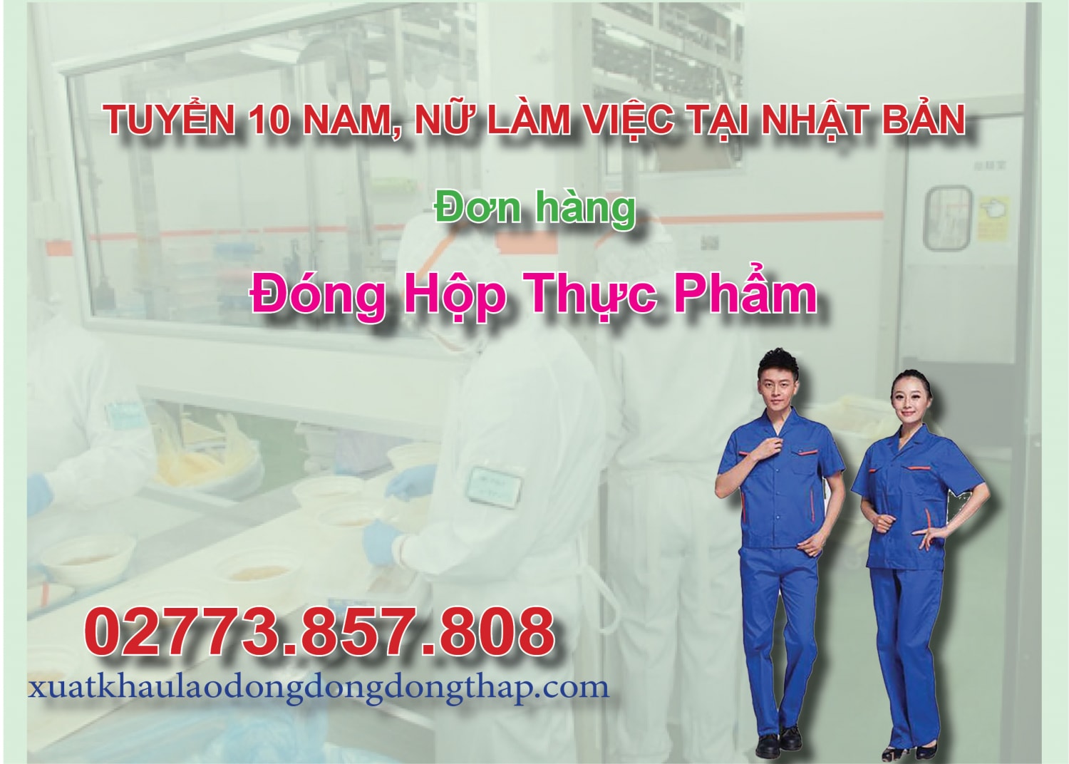 Tuyển 10 nam, nữ làm việc tại Nhật Bản đơn hàng đóng hộp thực phẩm