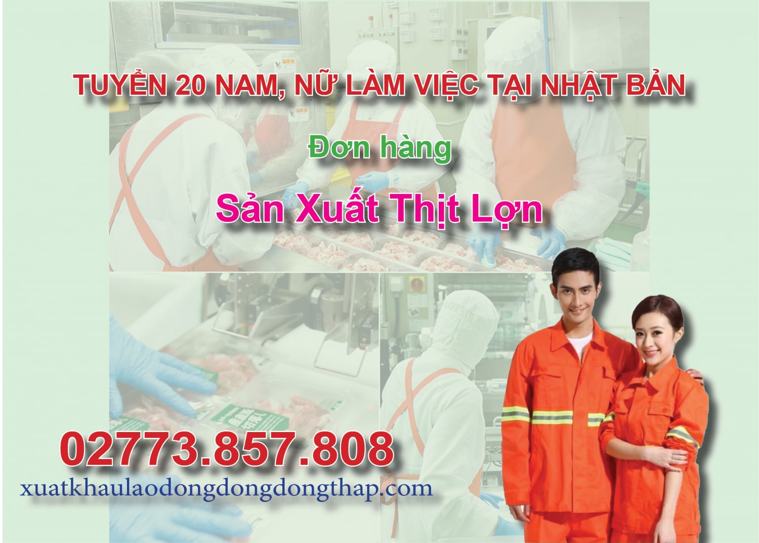 Tuyển 20 nam, nữ làm việc tại Nhật Bản đơn hàng sản xuất thịt lợn