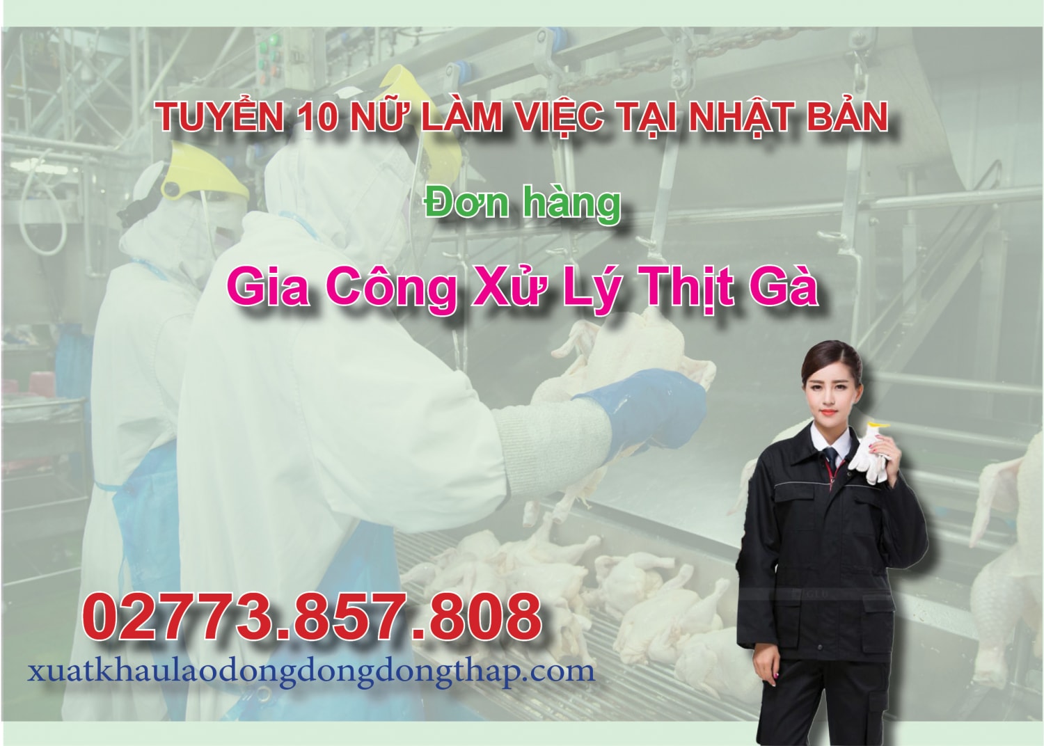 Tuyển 10 nữ làm việc tại Nhật Bản đơn hàng gia công xử lý thịt gà