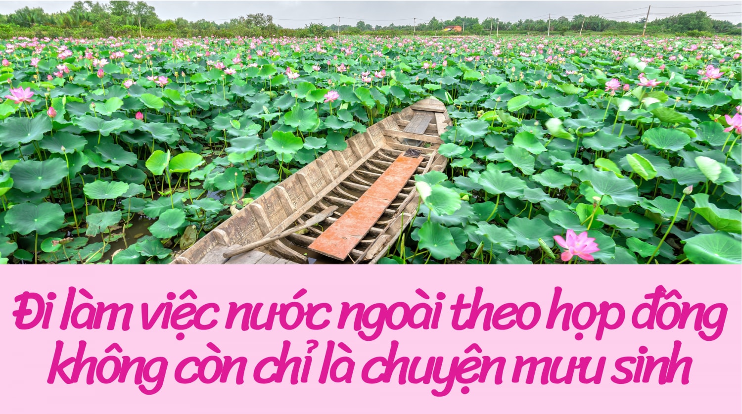 Đi làm việc ở nước ngoài theo hợp đồng không còn chỉ làm việc mưu sinh