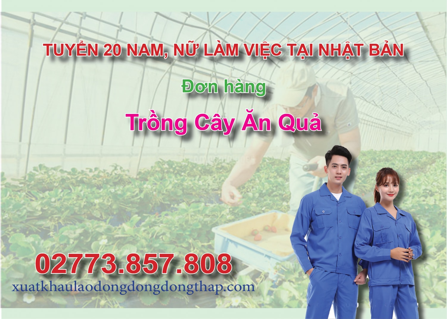 Tuyển 20 nam, nữ làm việc tại Nhật Bản đơn hàng trồng cây ăn quả