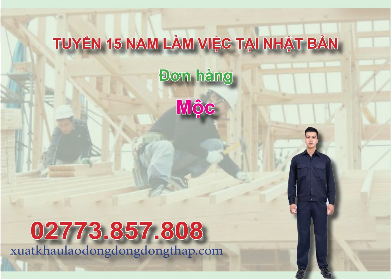 Tuyển 15 nam làm việc tại Nhật Bản đơn hàng mộc