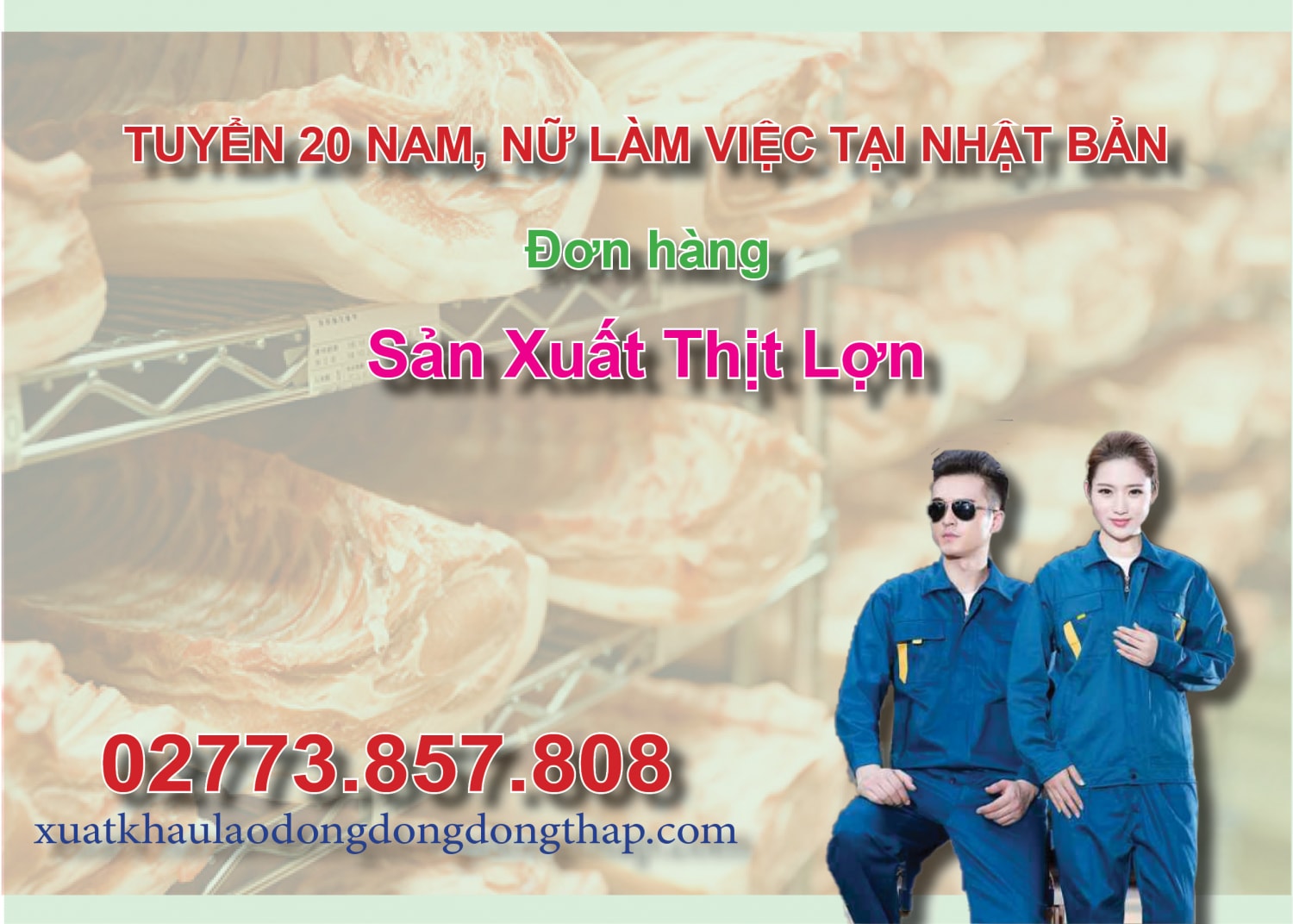 Tuyển 20 nam, nữ làm việc tại Nhật Bản đơn hàng sản xuất thịt lợn